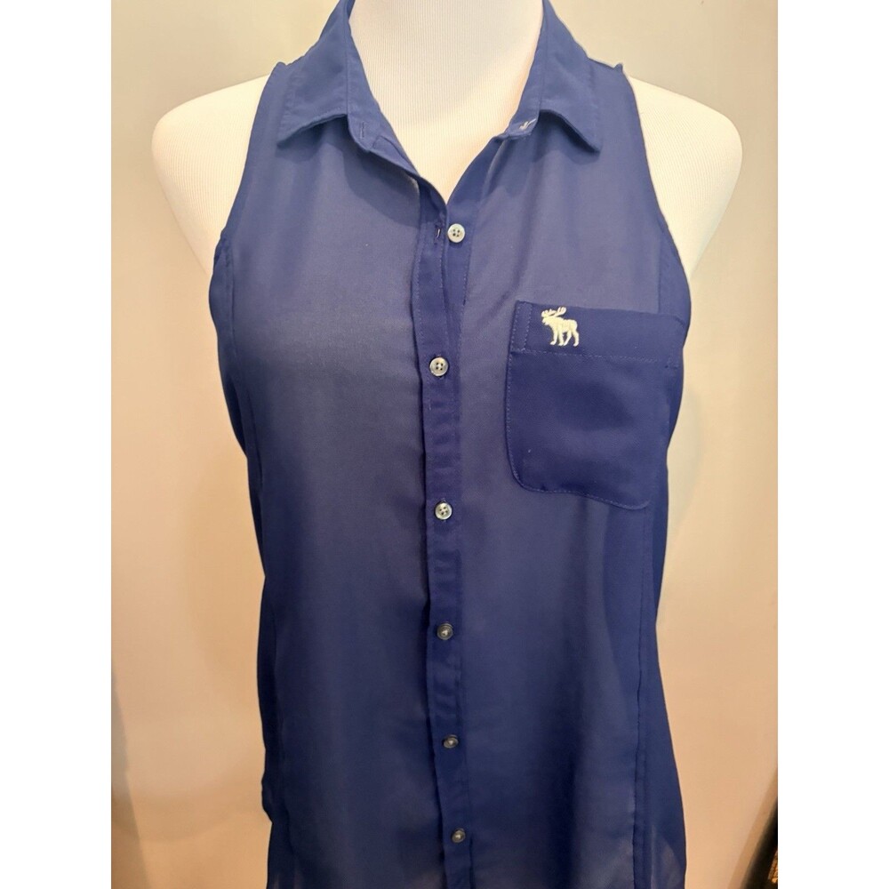 Abercrombie & Fitch Women's Sheer Blue Chiffon Sleeveless Button Down Blouse S